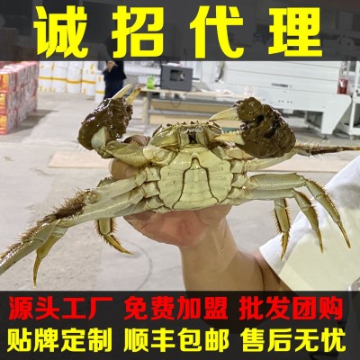 螃蟹大闸蟹鲜活阳澄湖镇大闸蟹礼券螃蟹卡批发提货卡产地直供批发两件起批图2