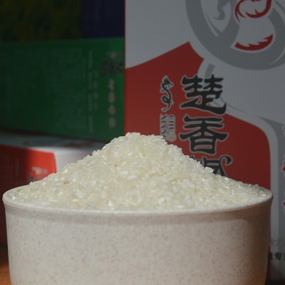 香米粥 米质细腻 绵软鲜嫩 家用餐饮大米煮粥煮饭大米 1KG/盒装5kgqp2件起批图4