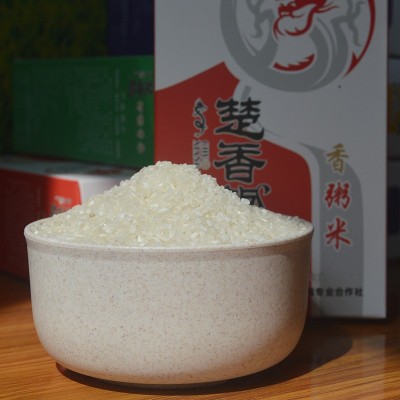香米粥 米质细腻 绵软鲜嫩 家用餐饮大米煮粥煮饭大米 1KG/盒装5kgqp2件起批图3