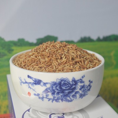 农家自产糙米茶 颗粒饱满 色泽自然均匀 口感香糯 1KG/盒 批发2件起批图4