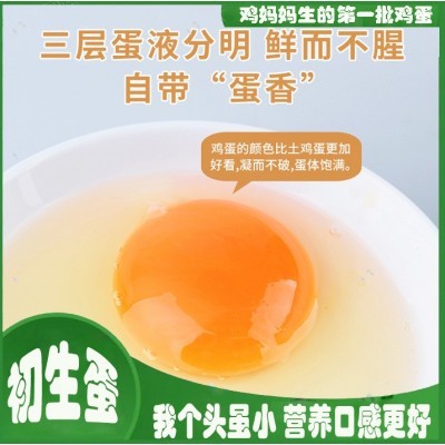初生蛋无抗富硒新鲜鸡蛋40枚12-15个1斤非柴土散养生食鸡蛋包邮 2箱起批图2