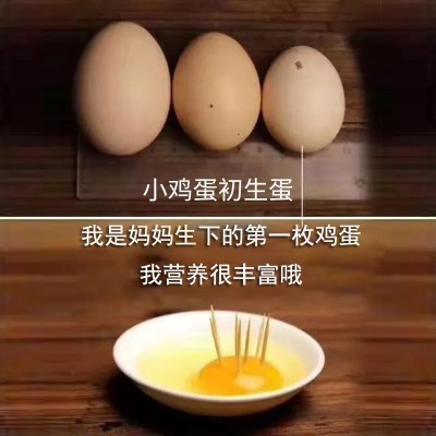 初生蛋无抗富硒新鲜鸡蛋40枚12-15个1斤非柴土散养生食鸡蛋包邮 2箱起批图3