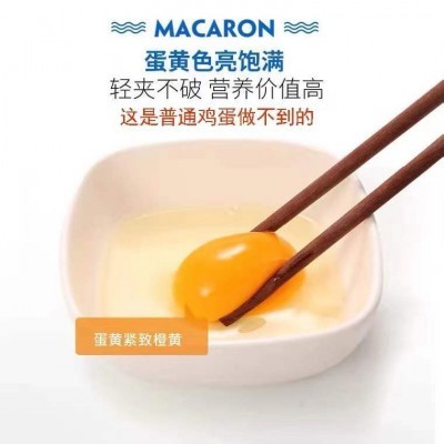 富硒无抗可生食鸡蛋新鲜无门氏菌鸡蛋孕幼新鲜鸡蛋360枚整箱批发 3箱起批图2