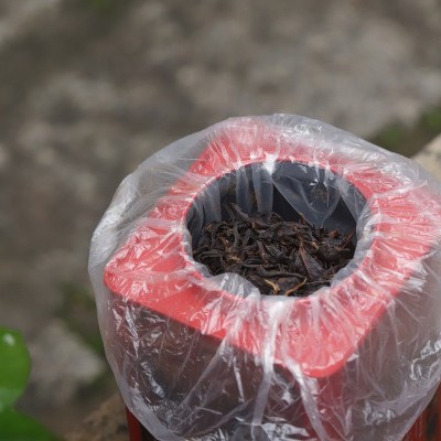 2023漳平高山水仙红茶高端罐装礼盒蜜香兰花香红茶源头企业批发 2罐起批图3