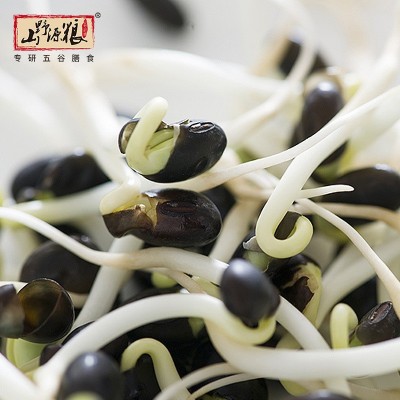 五谷杂粮源头工厂批发大量小黑豆绿芯小黑豆五谷杂粮黑小豆 2件图2