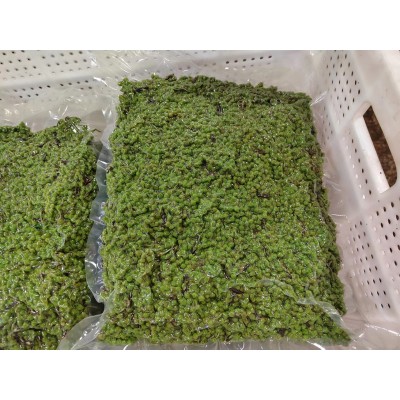 餐馆商用新鲜青花椒四川特麻特辣青花椒粒藤椒麻椒重庆江津九叶青2.5KG一袋  2袋起售图4