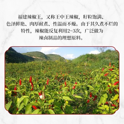福建辣椒王500g干辣椒香辣型皮厚耐煮红辣椒火锅冒菜调味料干辣椒图2
