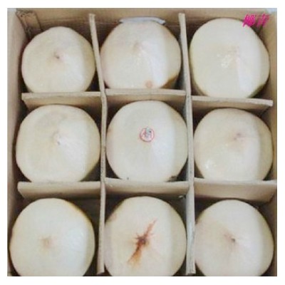 去皮椰青 9个装整箱特产水果健康饮品（包邮） 2箱起售图3