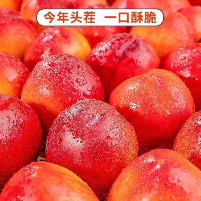 红皮黄心油桃脆甜桃5斤黄肉新鲜当季水果园直供整箱批发一件代发5斤净重【大果60mm】  2箱起售图3