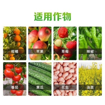 聚和嶙岬益生大量元素水溶肥料液体增绿强茎促花粒满叶面肥图5