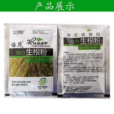 华尔百诺倍茂叶面肥生根粉生根剂生根移栽苗木扦插壮根图3