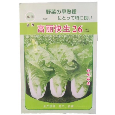 高丽快生26快菜种子小白菜种子阳台蔬菜种子 3袋图3
