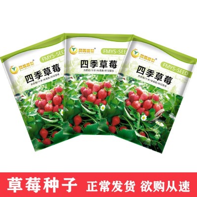 凤鸣雅世 草莓种籽7款可选组合装500粒+1000粒 四季蔬菜种子批发 3袋图5