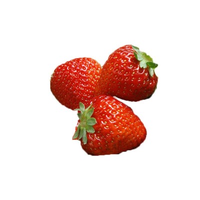 凤鸣雅世 草莓种籽7款可选组合装500粒+1000粒 四季蔬菜种子批发 3袋图4
