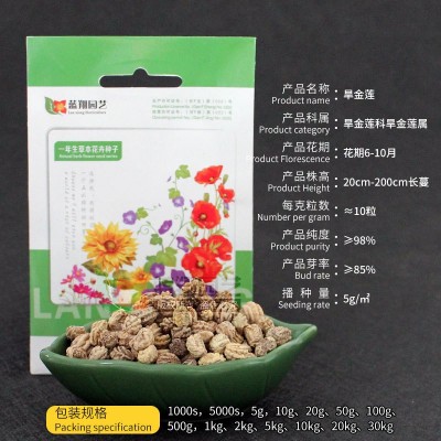 旱金莲种子庭院绿化阳台盆栽四季易种花海花镜观赏花花卉种子批发 2袋图4