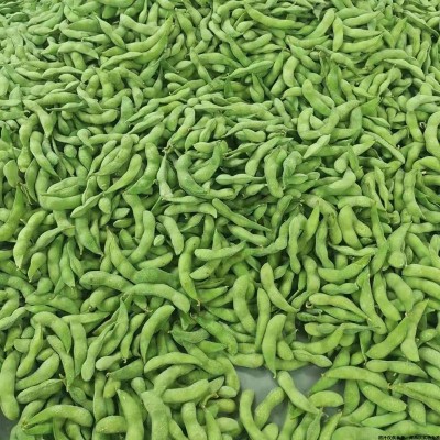 整吨批发蔬菜速冻毛豆冷冻毛豆荚冷冻毛豆500g包装冻菜批发冷冻菜图2