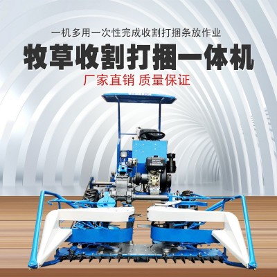 博丰机械 厂家供应 芦苇割草打捆一体机 多型号 农用机械图4