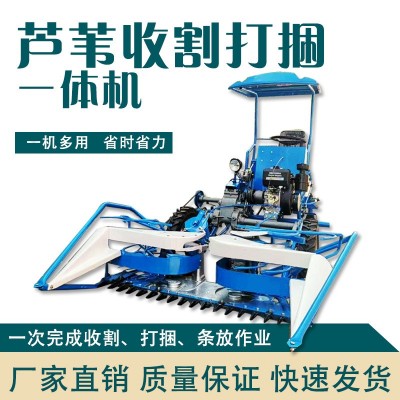 博丰机械 厂家供应 芦苇割草打捆一体机 多型号 农用机械图2