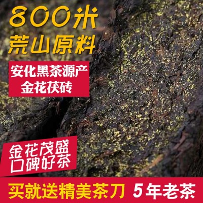 14年安化黑茶茯砖茶金茯金砖800g湘益阳特产边销新疆奶茶专用茯茶图2
