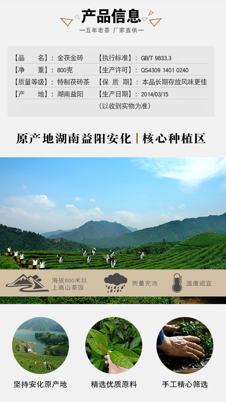 800克特制茯砖红色001_03.jpg