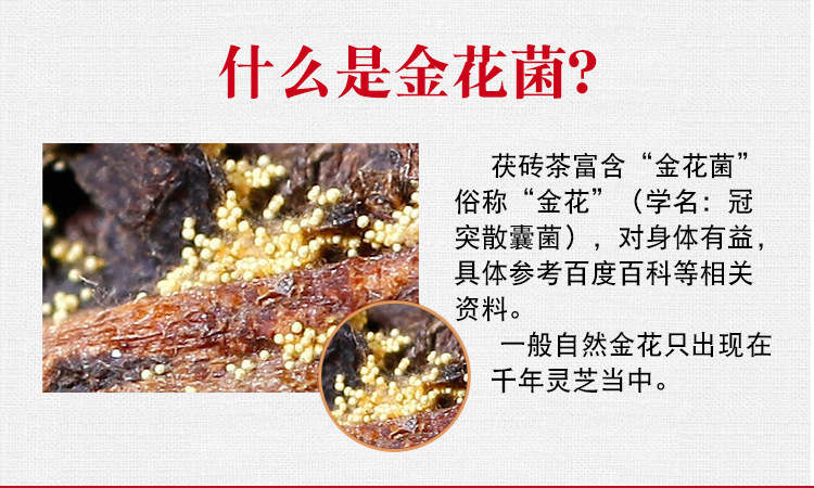 800克特制茯砖红色001_09.jpg
