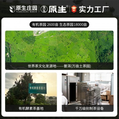 原生庄园有机白茶云南大叶种茶散茶批发100g袋装源头厂家现货 2袋图2