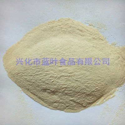 常年销售洋葱粉 脱水洋葱 黄洋葱粉 AD洋葱粉 颜色淡黄洋葱味浓 2千克图3