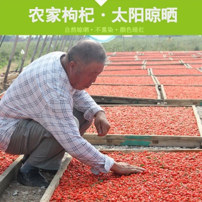 直供&宁夏枸杞免洗枸杞特级精选红枸杞180到220粒规格新货批发图4