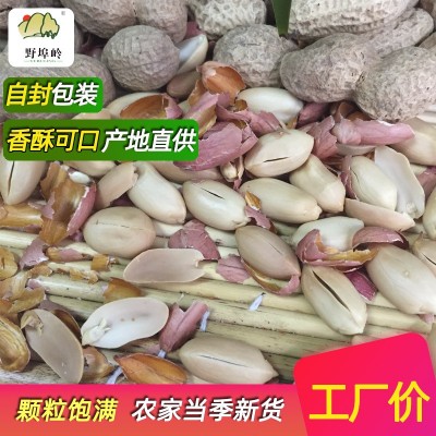 野埠岭山东农家现炒花生原味带壳现炒现发 农家铁锅炒熟花生500g图3