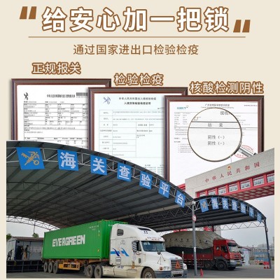 越南腰果进口大量批发整箱生腰果仁特产白果原味W180炒货散装干果图2