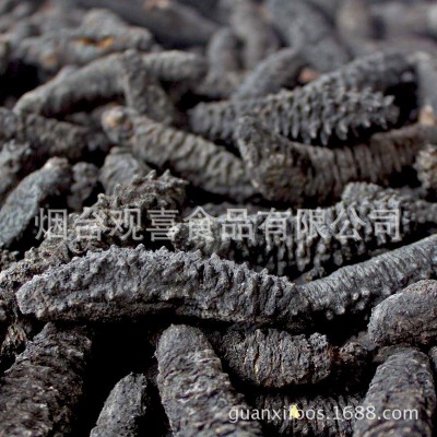 米刺有刺高刺海参/黑米刺海参干货淡干米刺海参散货500g图4