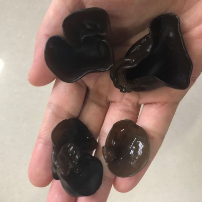 多品质东北黑木耳小碗耳 肉厚耳无跟春秋木耳 黑山菜餐饮货500g图3