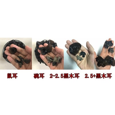 多品质东北黑木耳小碗耳 肉厚耳无跟春秋木耳 黑山菜餐饮货500g图5