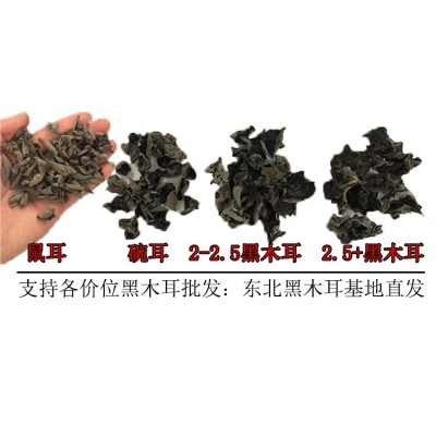 多品质东北黑木耳小碗耳 肉厚耳无跟春秋木耳 黑山菜餐饮货500g图4