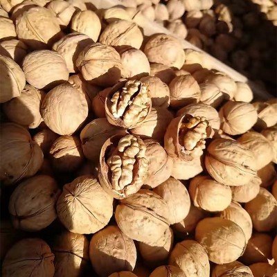 新疆185核桃薄皮核桃纸皮核桃特产新货厂家批发图3
