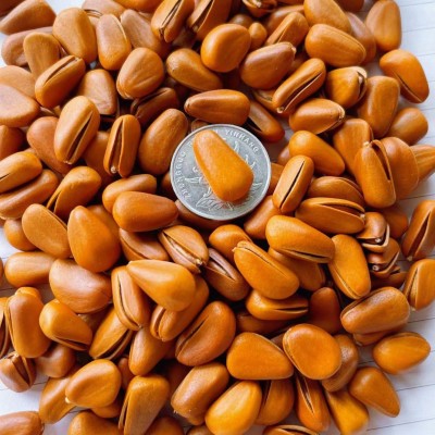 原味开口松子250g500g东北松子大颗粒罐装坚果干果零食特产小吃图4