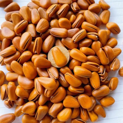 原味开口松子250g500g东北松子大颗粒罐装坚果干果零食特产小吃图3