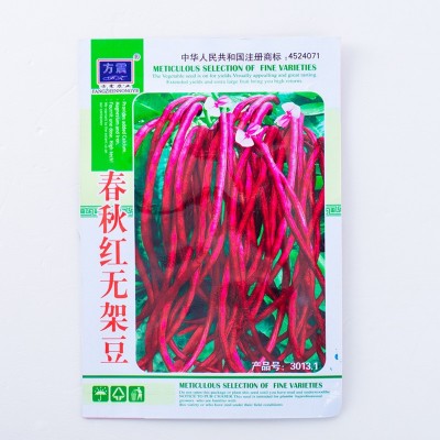 春秋红无架豆种子果实鲜红庭院栽培大田早熟四季播红豆角盆栽豆角图1
