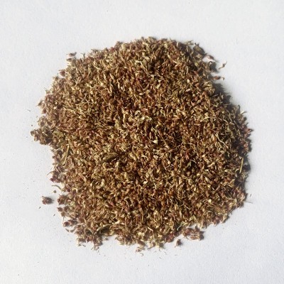 无花果种子 阳台庭院盆栽果树种籽蜜果多年生春秋播蔬菜水果种孑图2