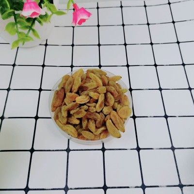 新货葡萄干500g 新疆特产提子干 无核葡萄干散装干果零食批发5袋图4