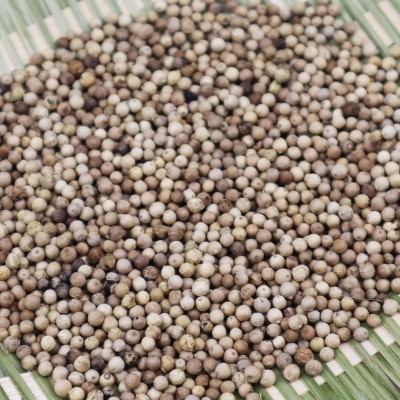 地摊香料海南白胡椒批发白胡椒粒调味香料煲汤家用胡椒粉量大从优图2