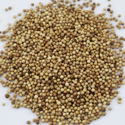 地摊香料海南白胡椒批发白胡椒粒调味香料煲汤家用胡椒粉量大从优图3
