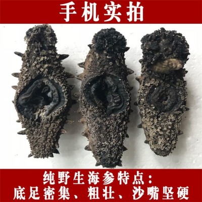 深海捕捞 野生淡干海参干货40-80头/斤 9年参龄刺参 15倍以上泡发率图3