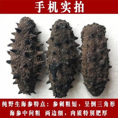 深海捕捞 野生淡干海参干货40-80头/斤 9年参龄刺参 15倍以上泡发率图2