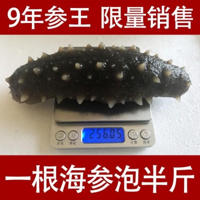 深海捕捞 野生淡干海参干货40-80头/斤 9年参龄刺参 15倍以上泡发率图4