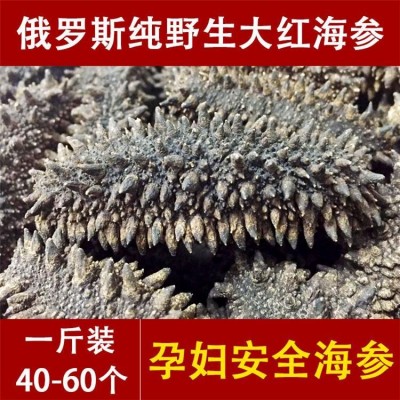 足干 俄罗斯纯野生淡干海参干货 孕妇六排刺大红参 9年参龄 一手货源图2