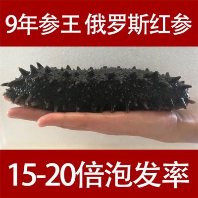 足干 俄罗斯纯野生淡干海参干货 孕妇六排刺大红参 9年参龄 一手货源图3