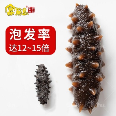 海参 北纬39度淡干辽沈干货 专业水产刺参厂家批发图2