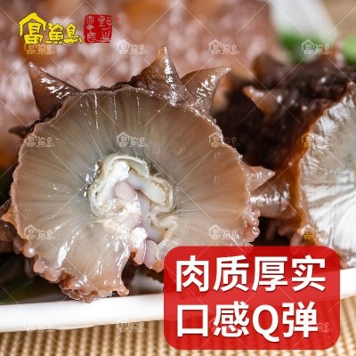 海参 北纬39度淡干辽沈干货 专业水产刺参厂家批发图4