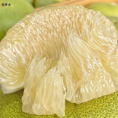 傣柚蜂蜜柚子新鲜水果 东试早傣柚 脆甜多汁 产地现摘现发图3